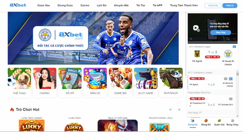 Có nên chọn 8XBET để chơi?